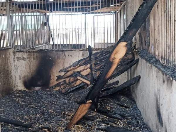 Marking a year in the Ukraine&nbsp;war